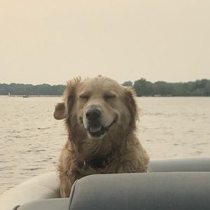 Meet your Posher, Shelli